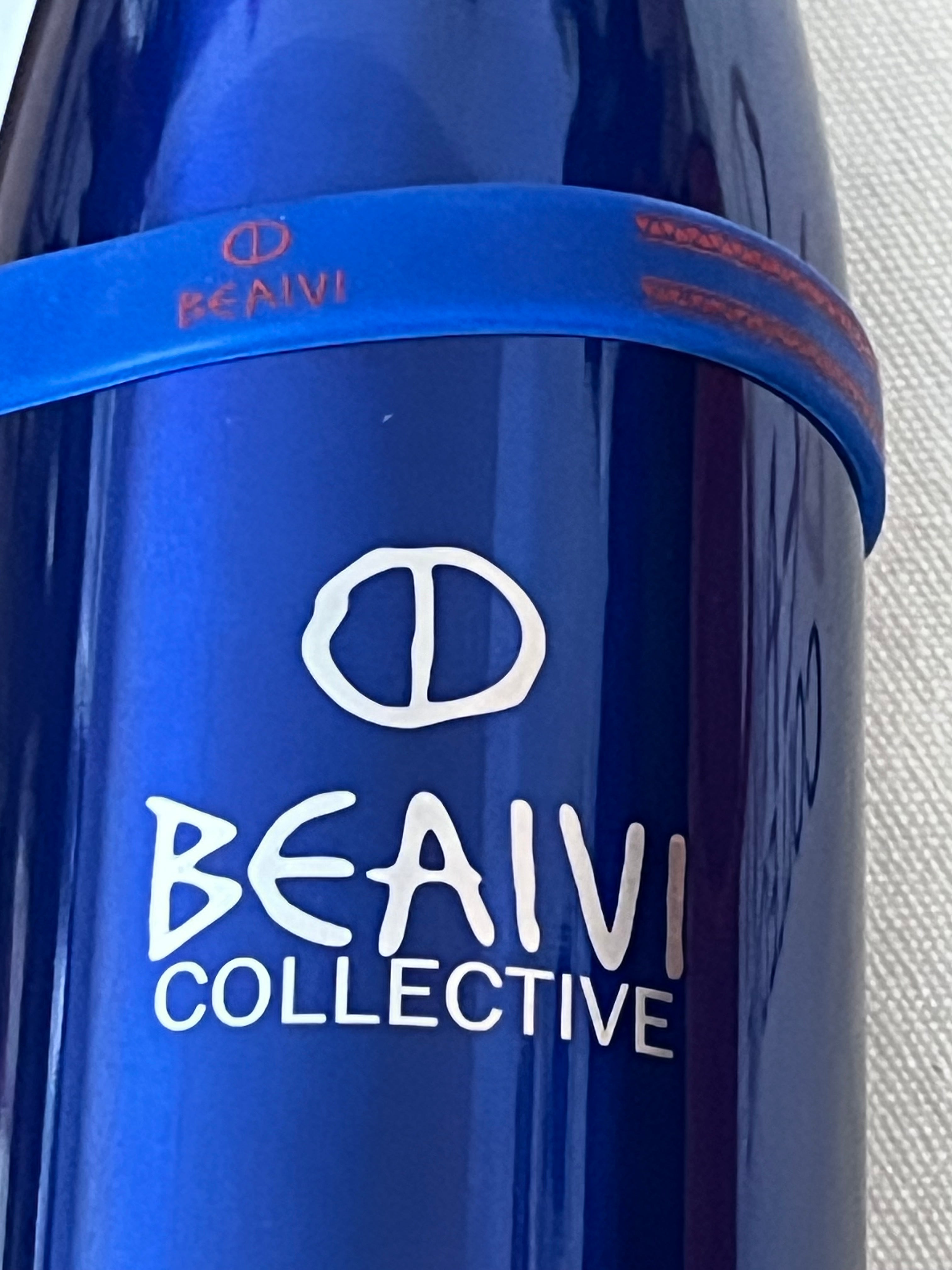 Beaivi Collective Insulted Bottle