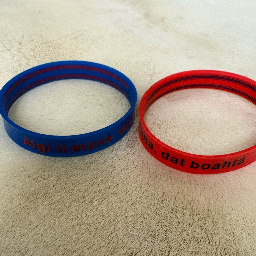 Beaivi Collective Silikonarmbånd